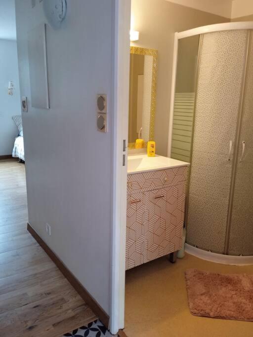 Le Briochin Apartment Saint-Brieuc Bagian luar foto