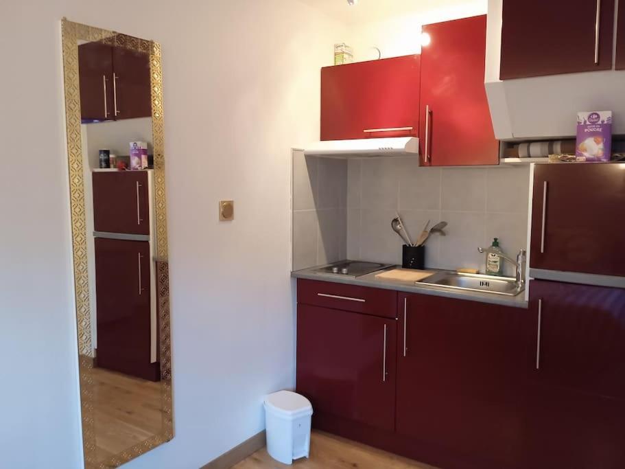 Le Briochin Apartment Saint-Brieuc Bagian luar foto